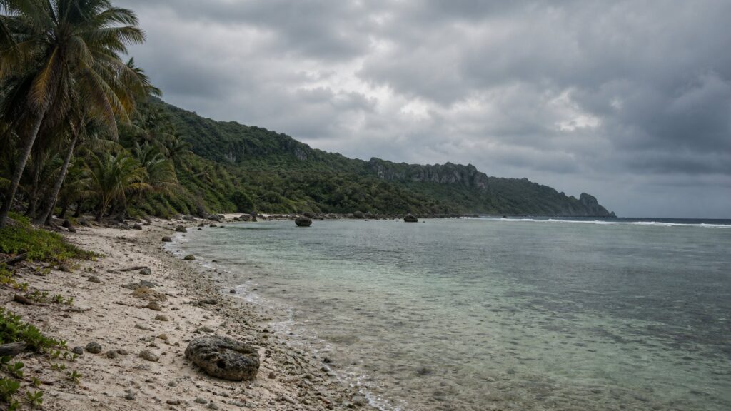 ペリリュー島の海岸と密林をイメージした風景