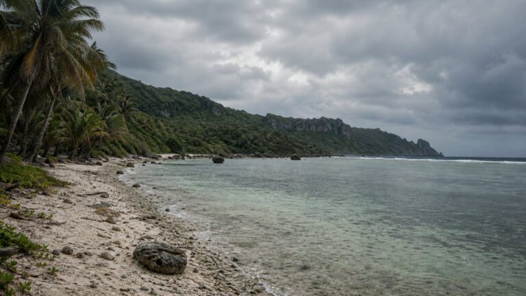 ペリリュー島の海岸と密林をイメージした風景