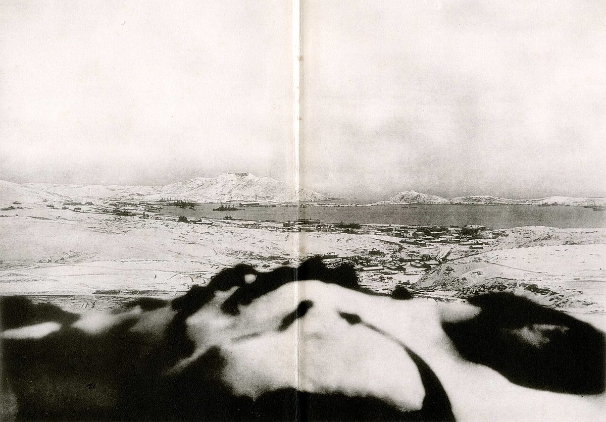 203高地から見た旅順港(1904年12月)