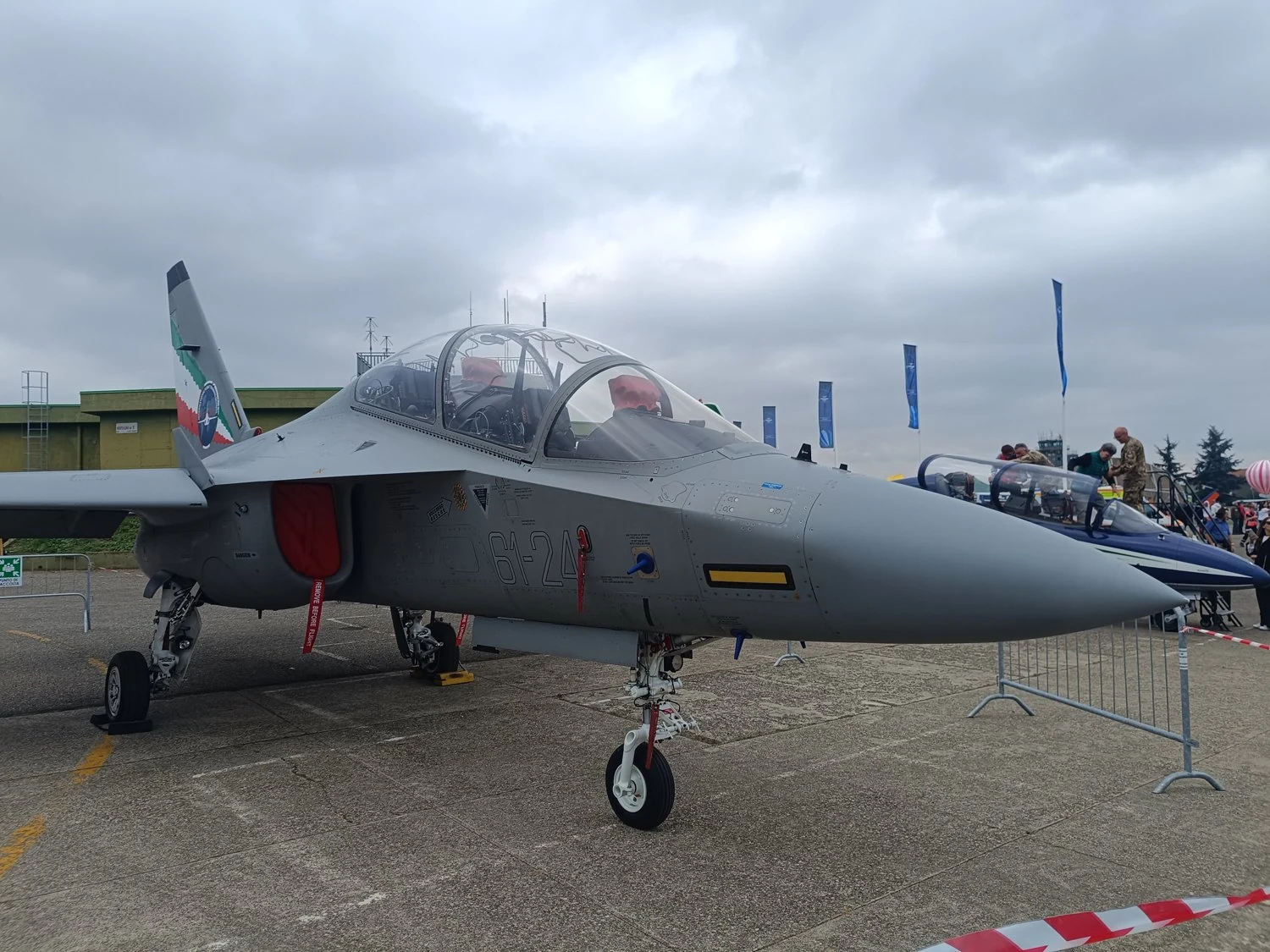 国際飛行訓練学校の塗装を施したM-346練習機。