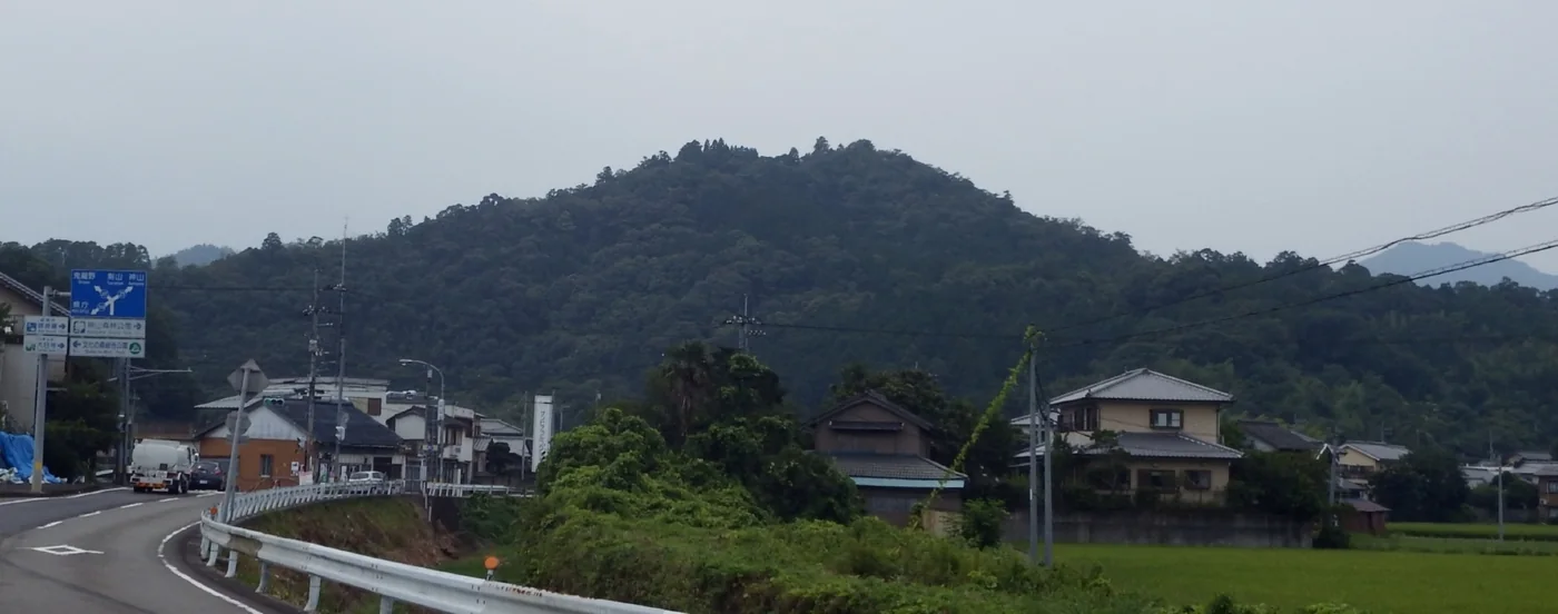 阿波の一宮城が置かれた山