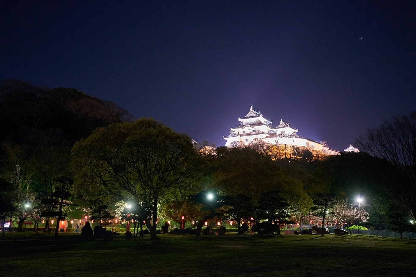 現在の和歌山城